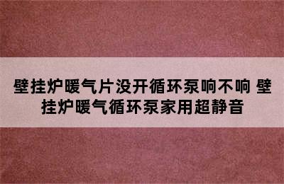 壁挂炉暖气片没开循环泵响不响 壁挂炉暖气循环泵家用超静音